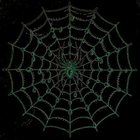An engraved almanac emblem for dreaming of Spiders
