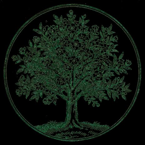An engraved almanac emblem for the angel number 3333